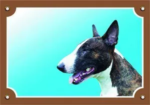 Farbschild Achtung Hund, Bullterrier-Hund
